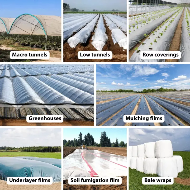 Global Agricultural Film Market Booms, Driven by Sustainability and Food Security Demands
