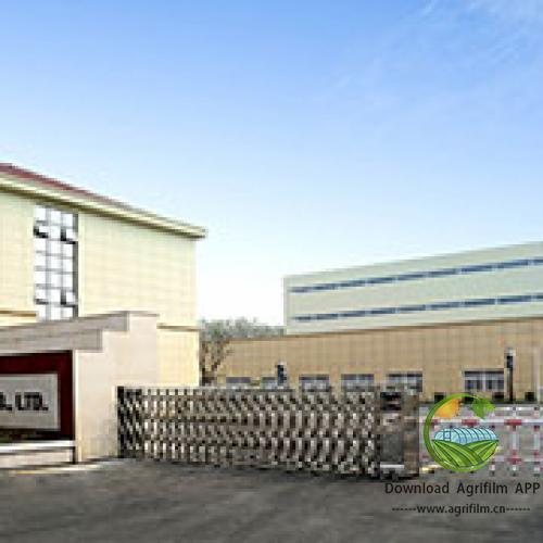 History of Agricultural Film Development in China | Chinese Agricultural Film Factories & Best Greenhouse Film