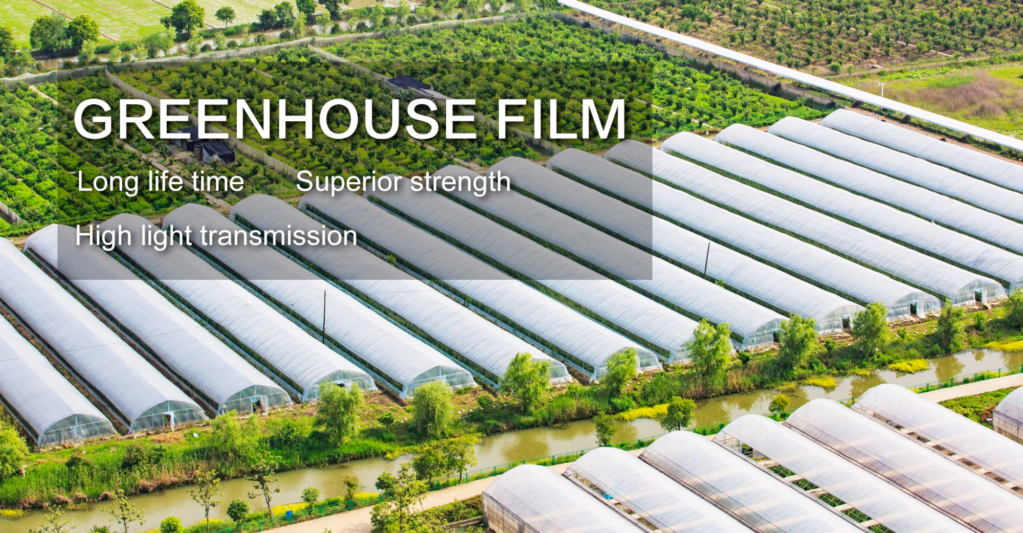 China Manufacturer greenhouse plastic sheet greenhouse cover agricultural film greenhouse film