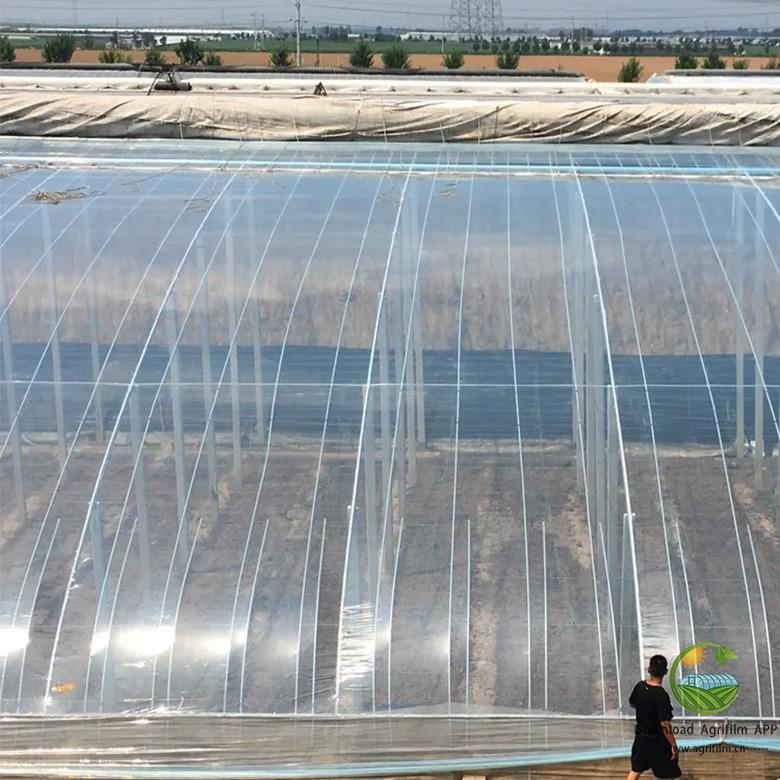 High-Efficiency Greenhouse Film for Commercial Agriculture