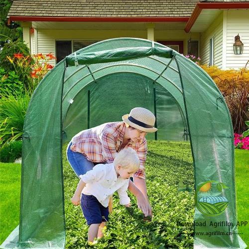 outdoor garden green house metal frame strawberry agriculture greenhouse for strawberry growing